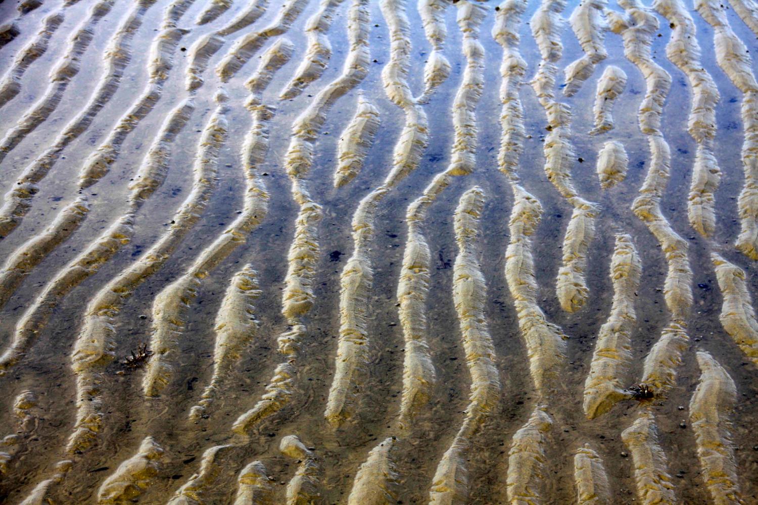 landscape gallery south