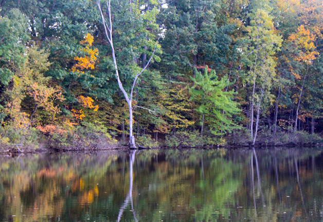 mi_fall is beginning_127