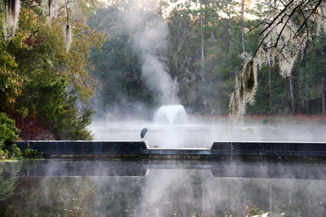 steamy reflection_063