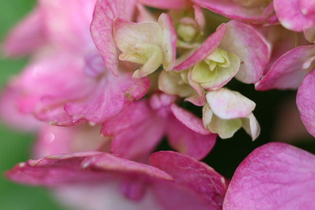 after the rain_117