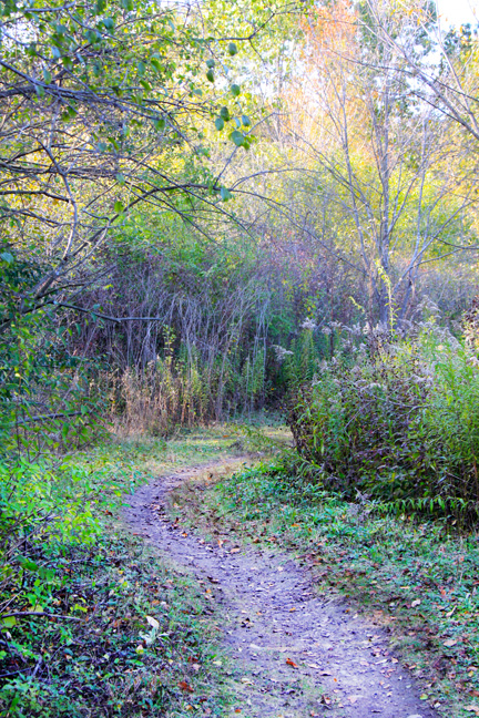 mi_another bend_156