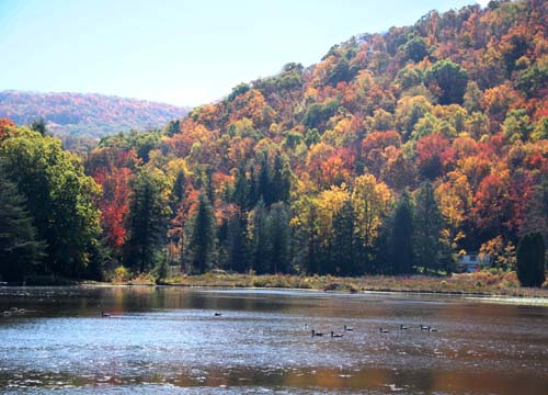 WV_Campsite_0081