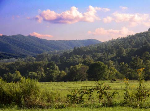 va_farm in Virginia_ 099