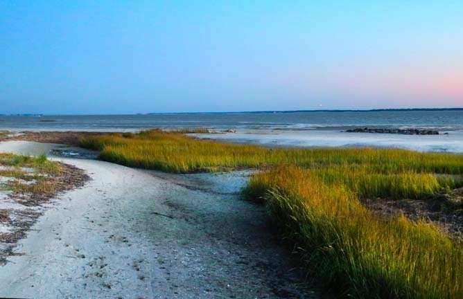 marsh paths
