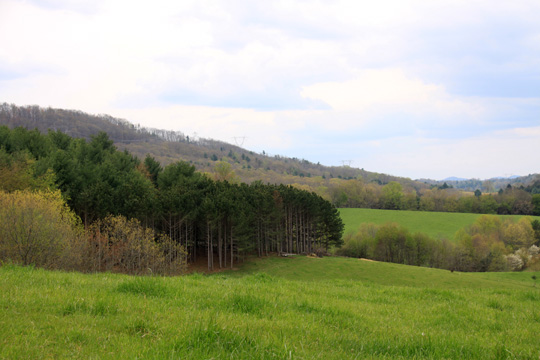 va_ hilltop_270