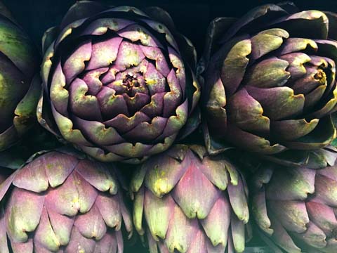 artichokes_120