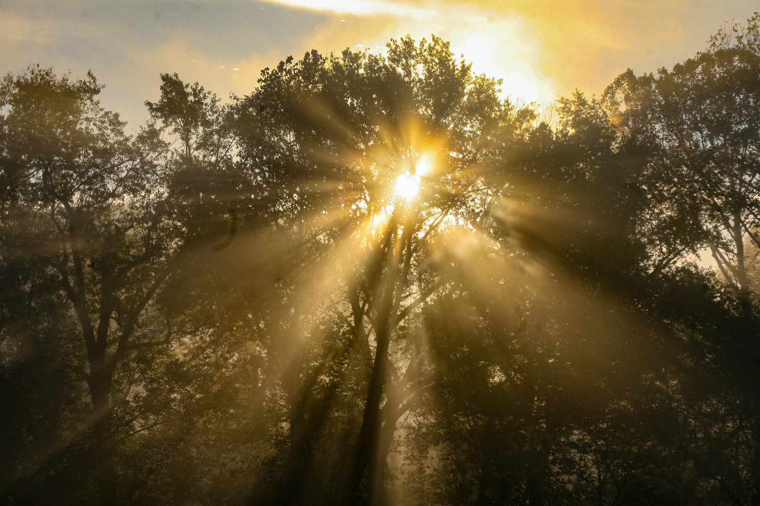 there is heaven and it shines down