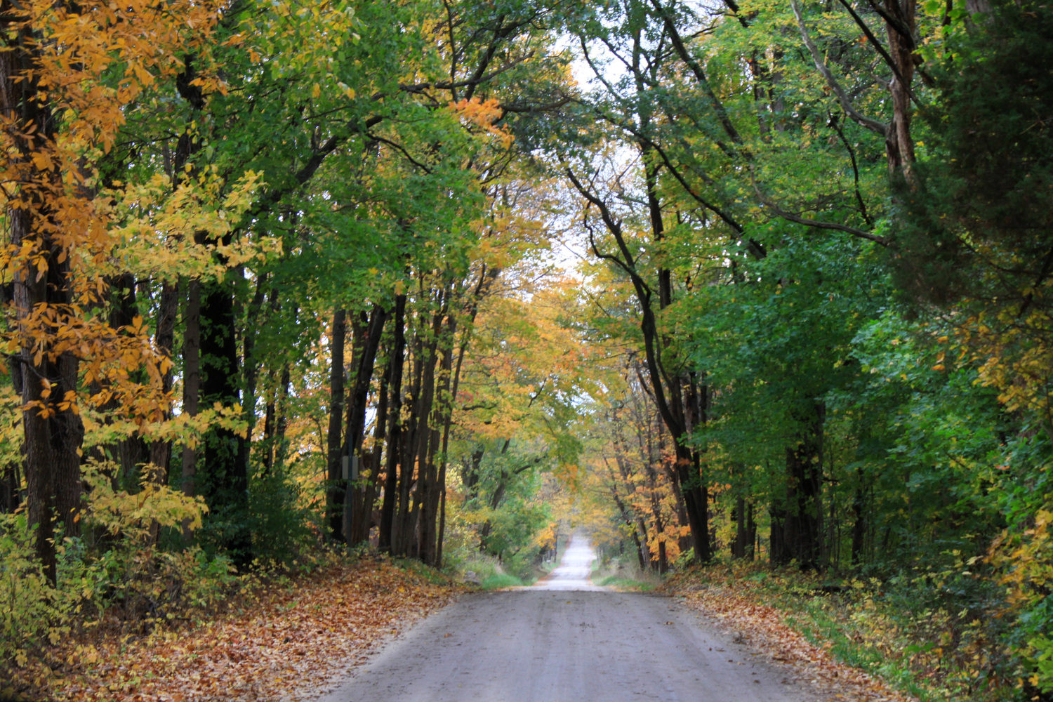 Donavan Road