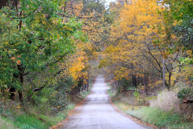 mi_donavan road_144