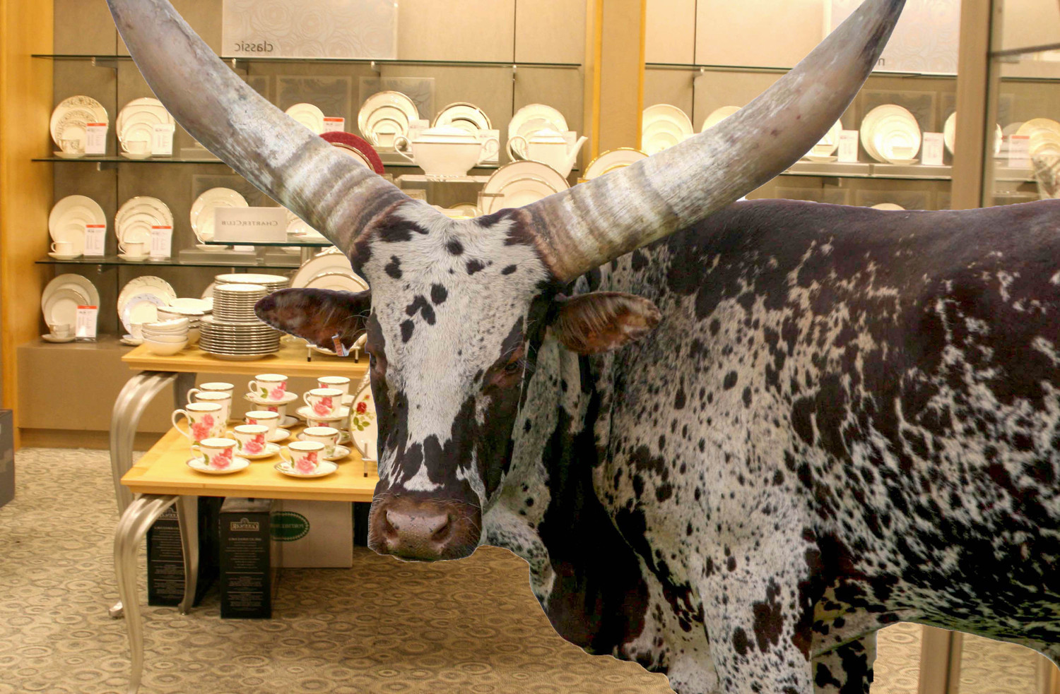 bull in a china shop