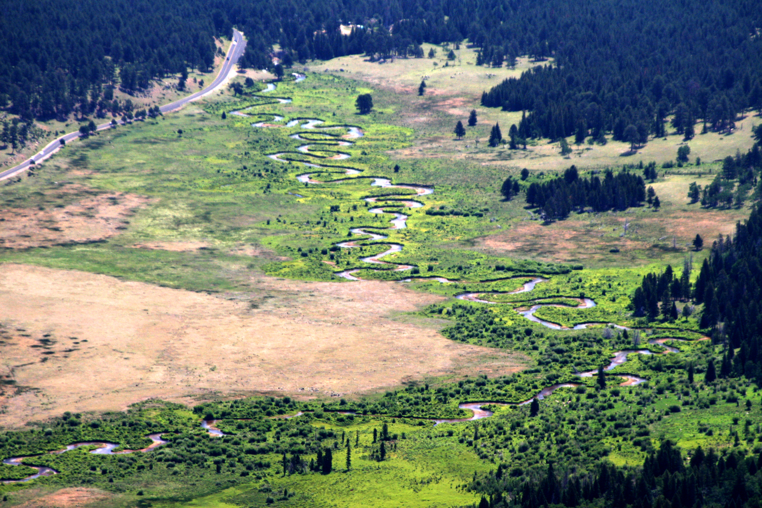 the switchbacks