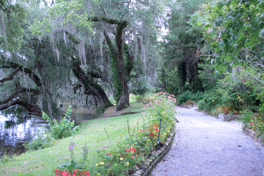 sc_The path along the river_ 176