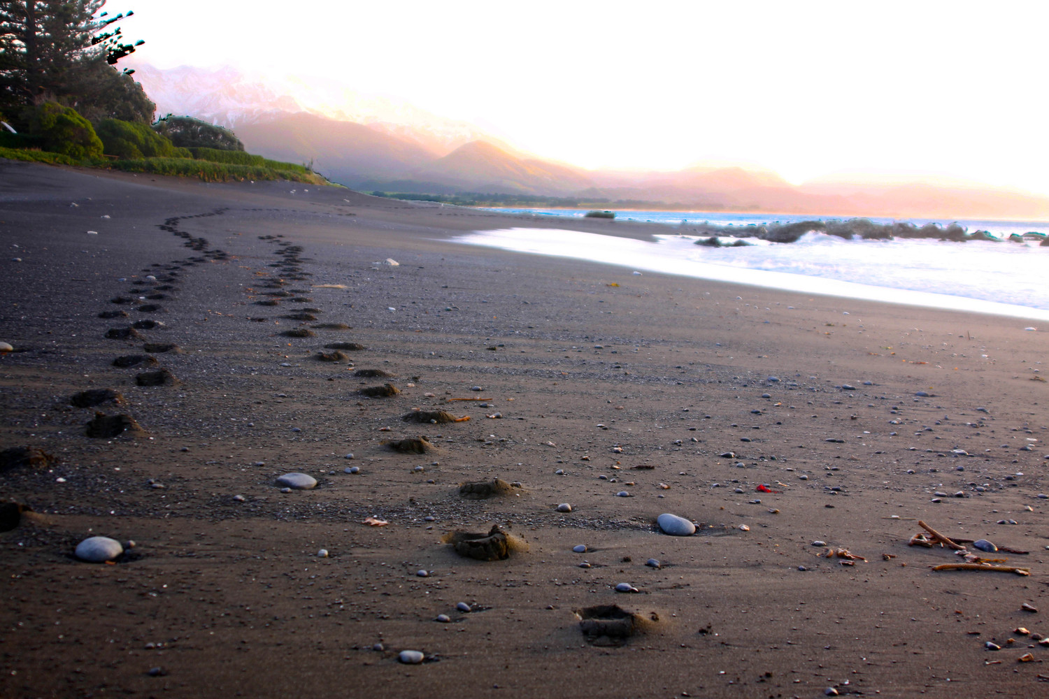 kaikoura