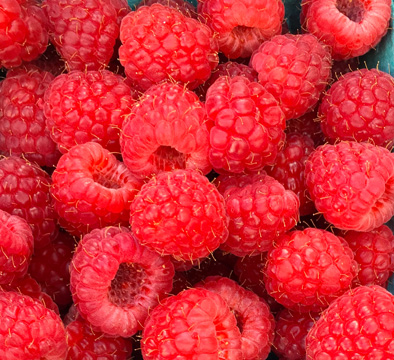 rasberries