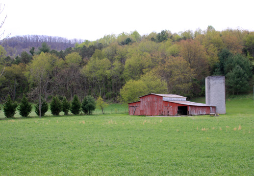 va_barn at the base of the woods_261
