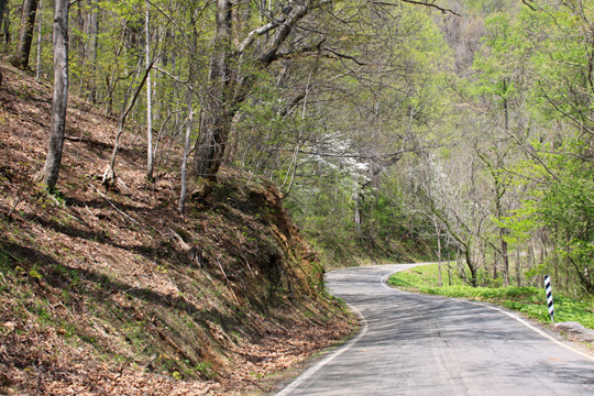 va_ winding mountain rd_42