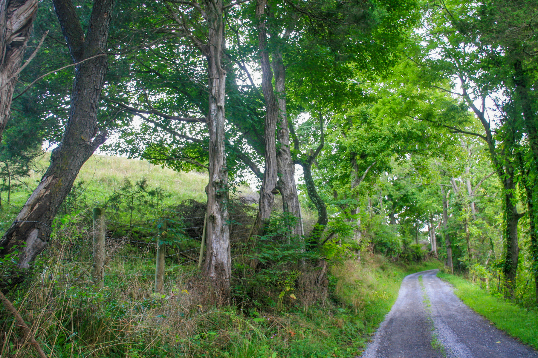 country road