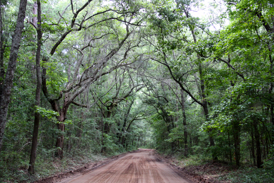 sc_Long Road 024