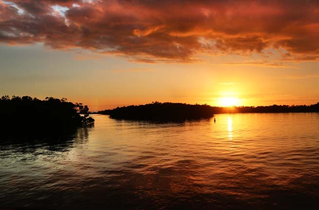 in the everglades at sunset