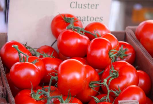 rd_Tomatoes_3124
