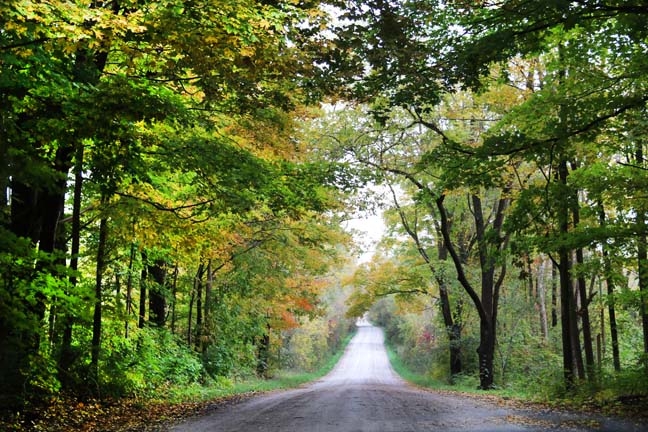 mi_country road_015