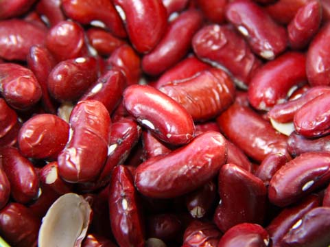 br_Beans_3175
