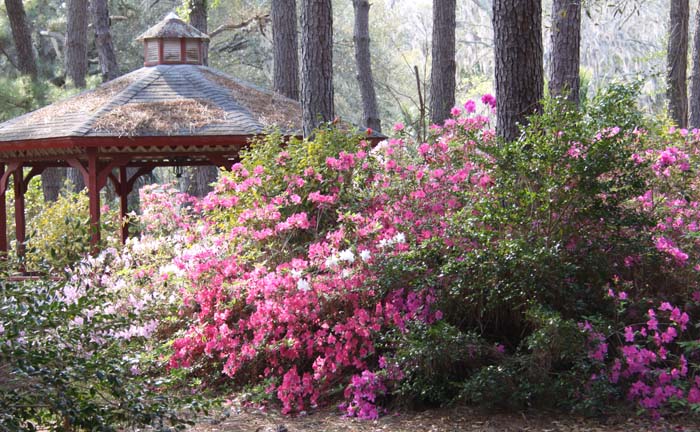 tea party gazebo_140