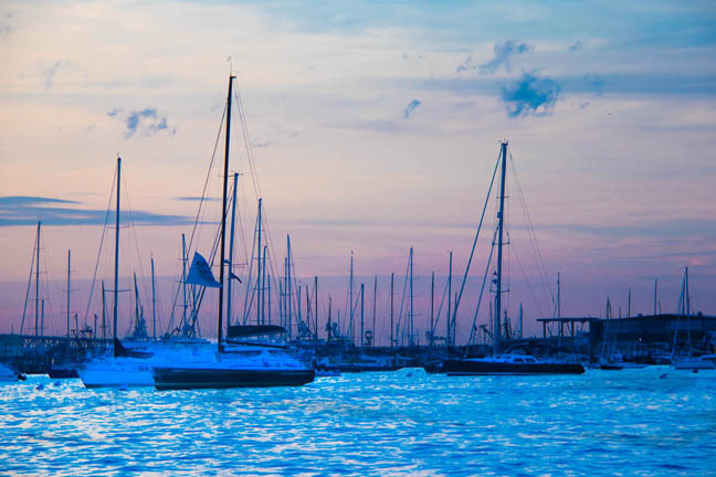 pink skies_6846