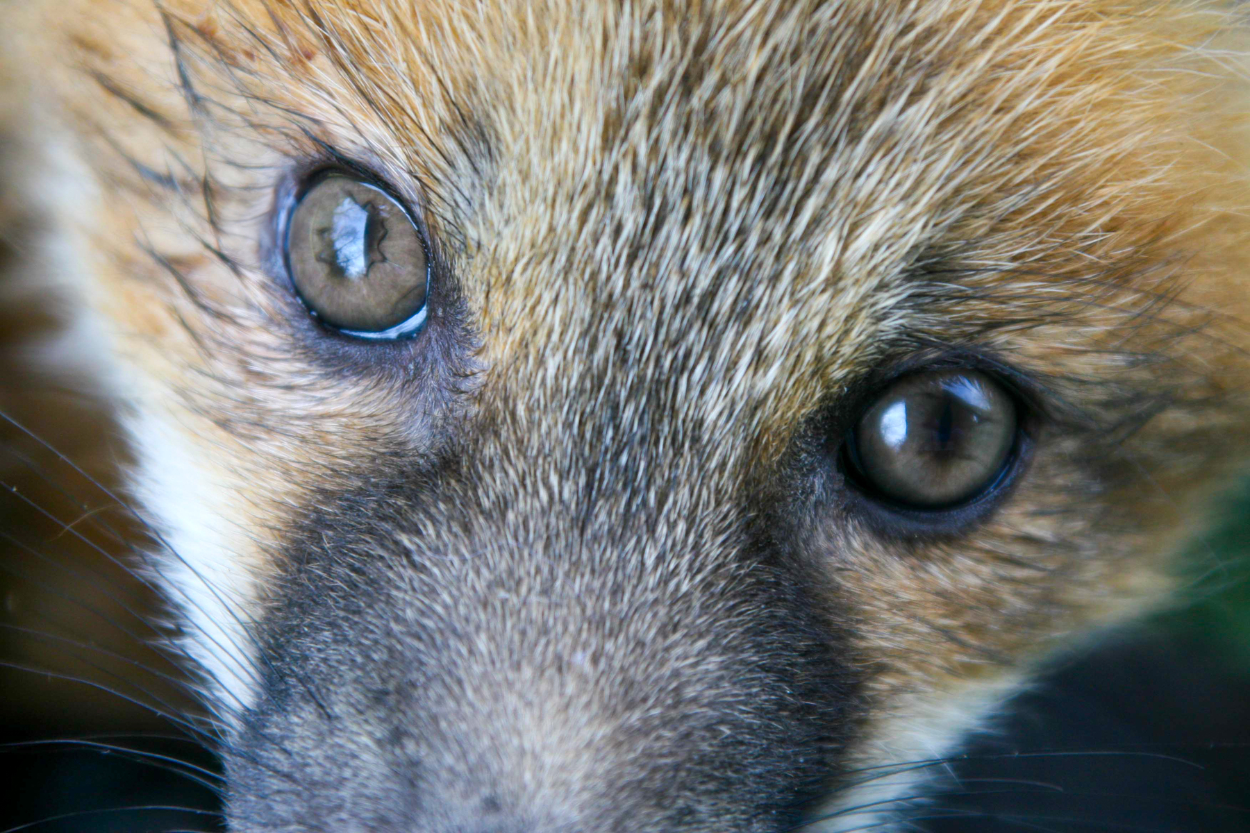 look into my eyes