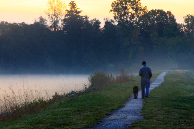 old dog walk_159