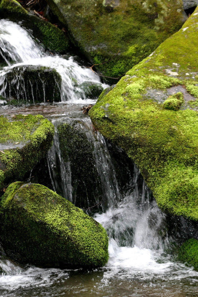 waterfall on moss rocks