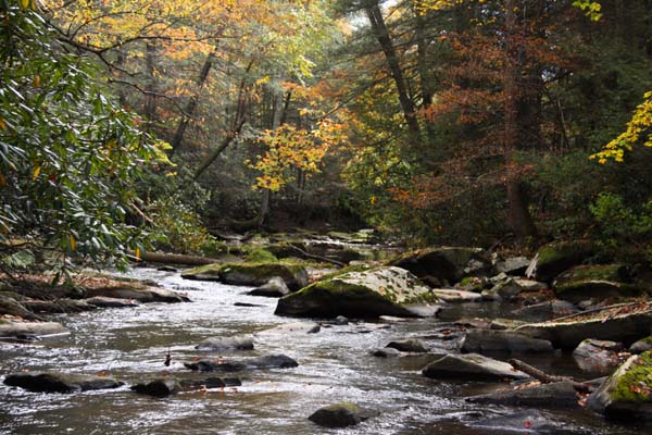 wv_Creekbed_ 127