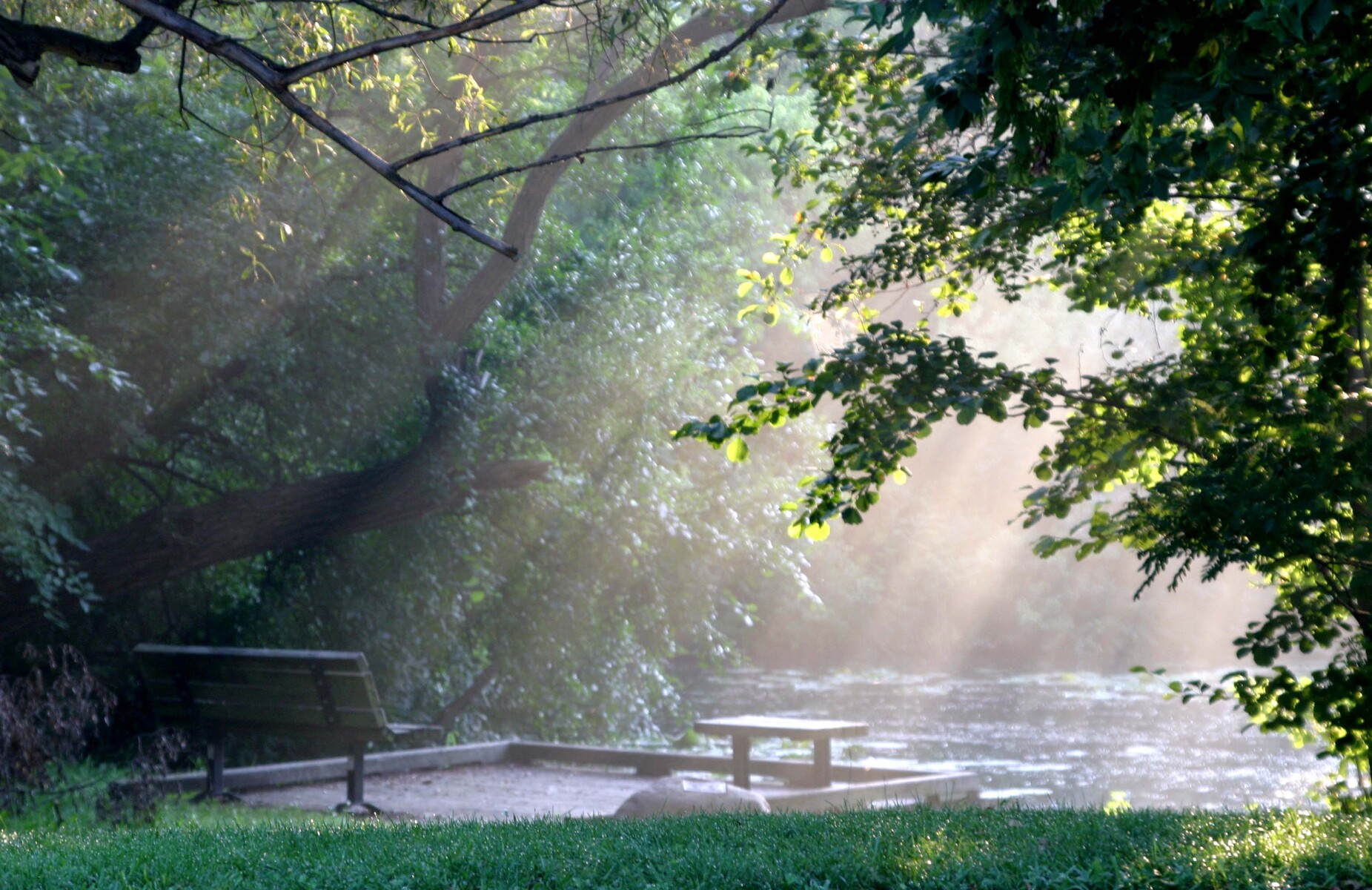 Gallup Park early morning