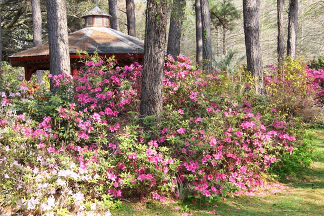 hidden gazebo_032
