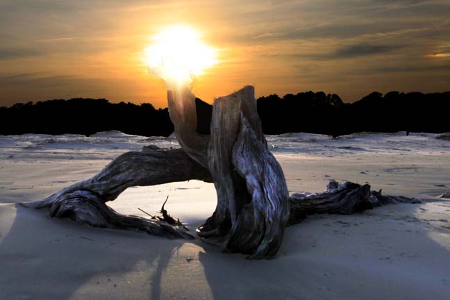 landscape gallery_south