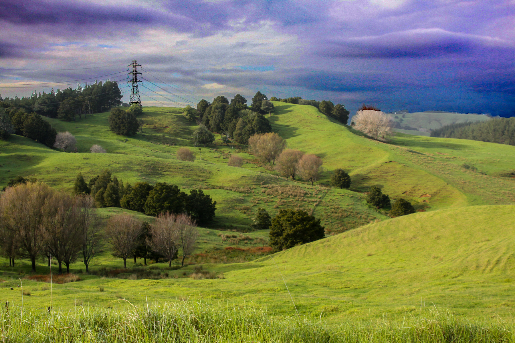 so much green