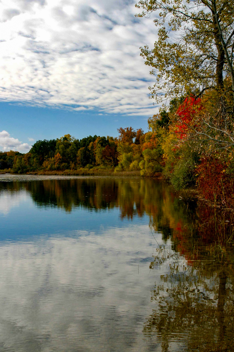 Gregory, Michigan