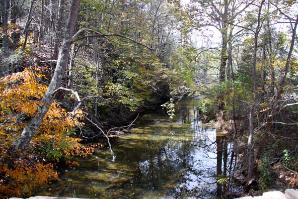 va_Creek in Virginia_ 062