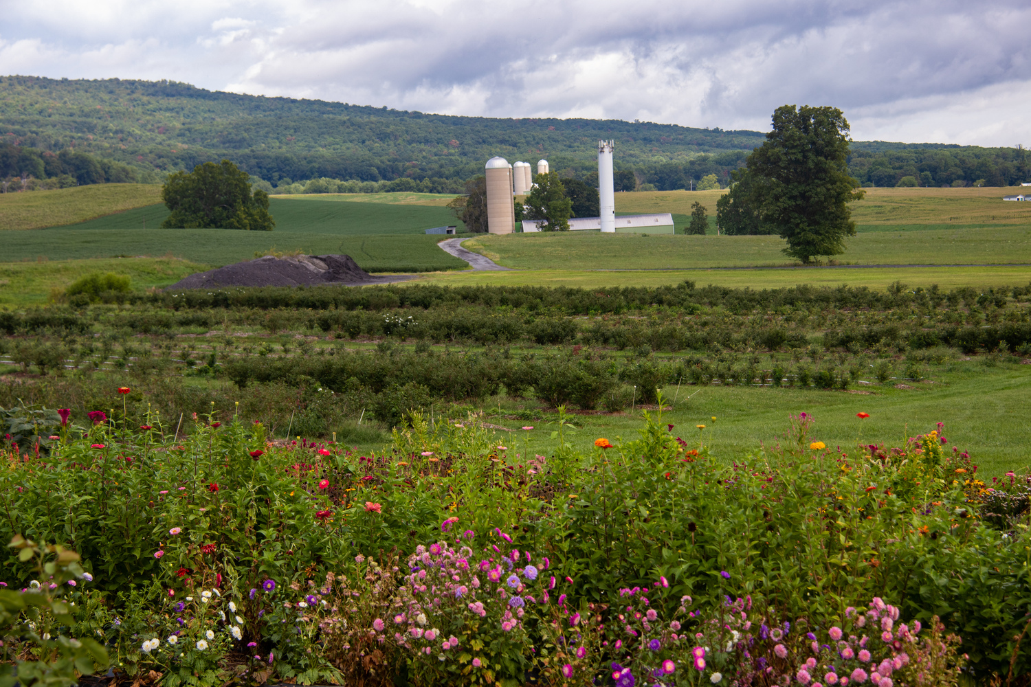 md_stopped at a farmstand