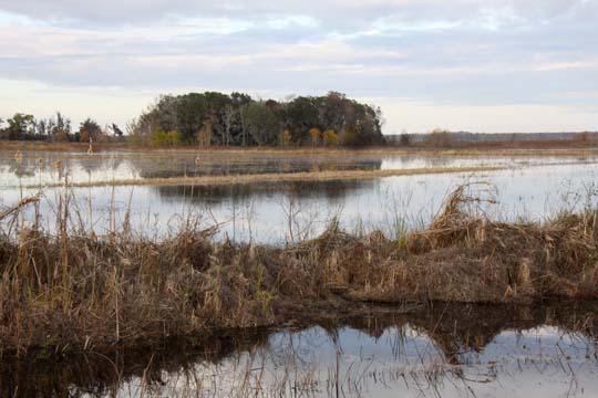 sc_old rice fields_127