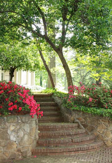 nc_Pathway_ 092