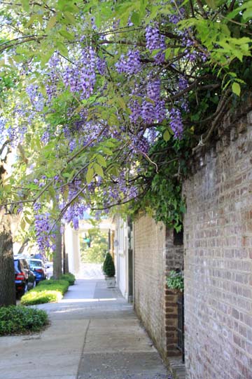 landscape gallery south_sc