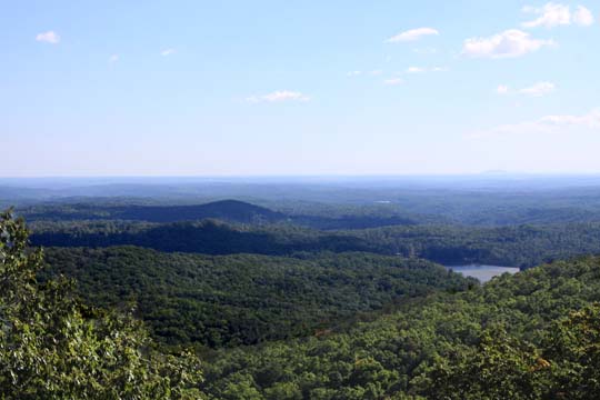 landscape gallery south
